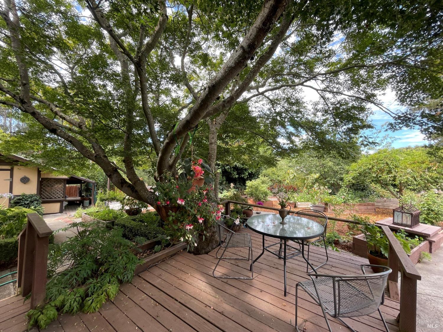 Property photo 37