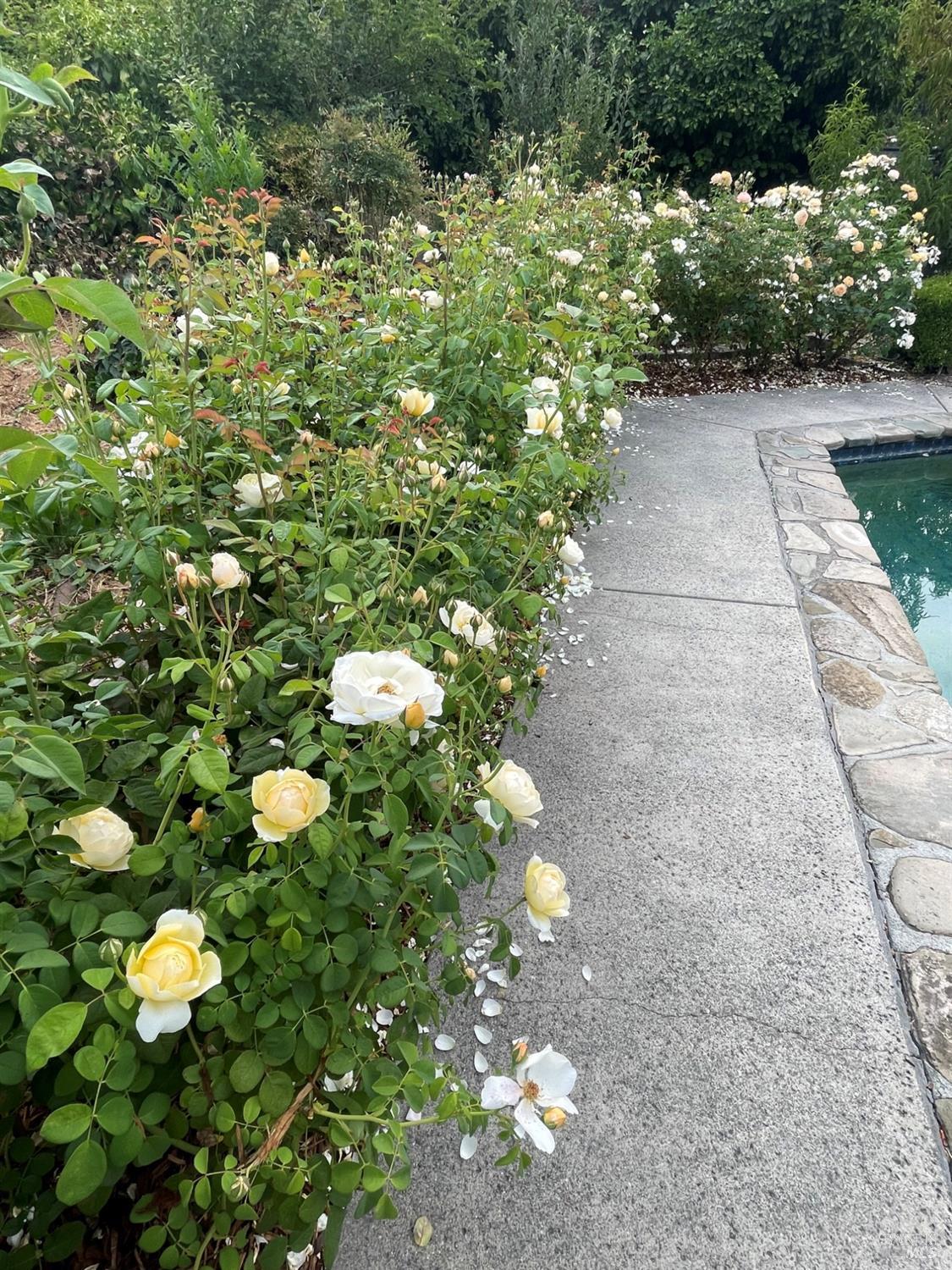 Property photo 40