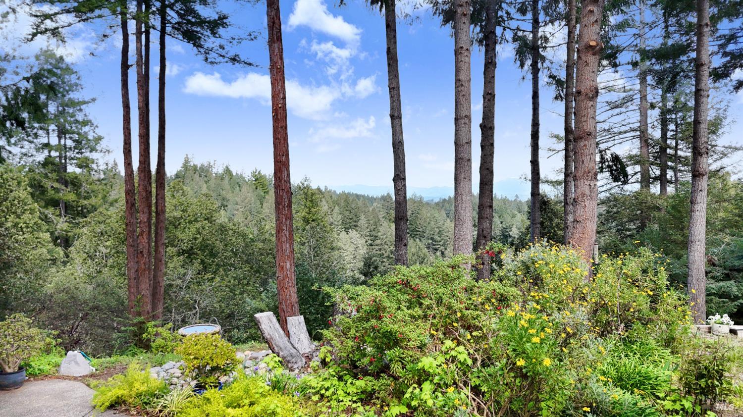 Property photo 45