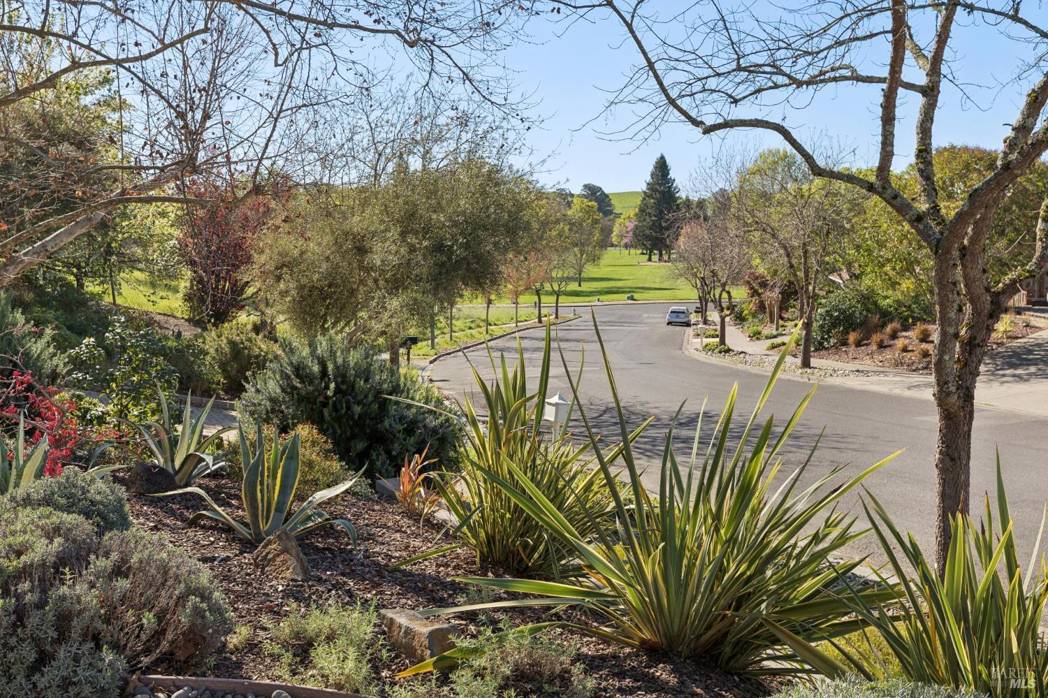 Property photo 47