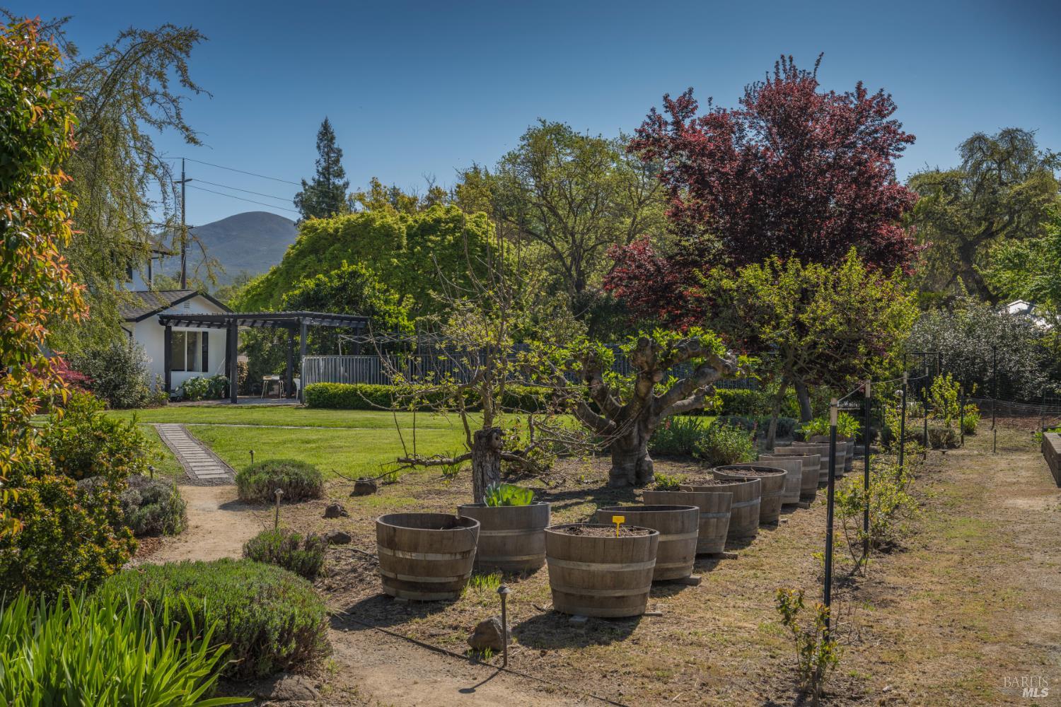 Property photo 19
