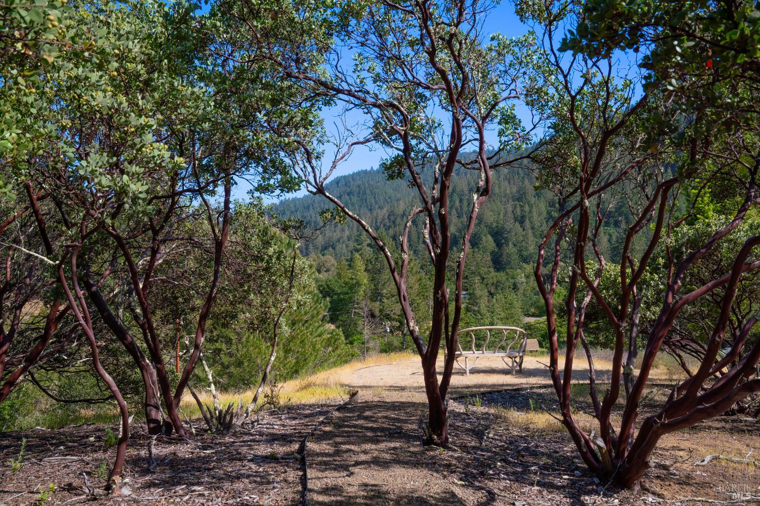 Property photo 44