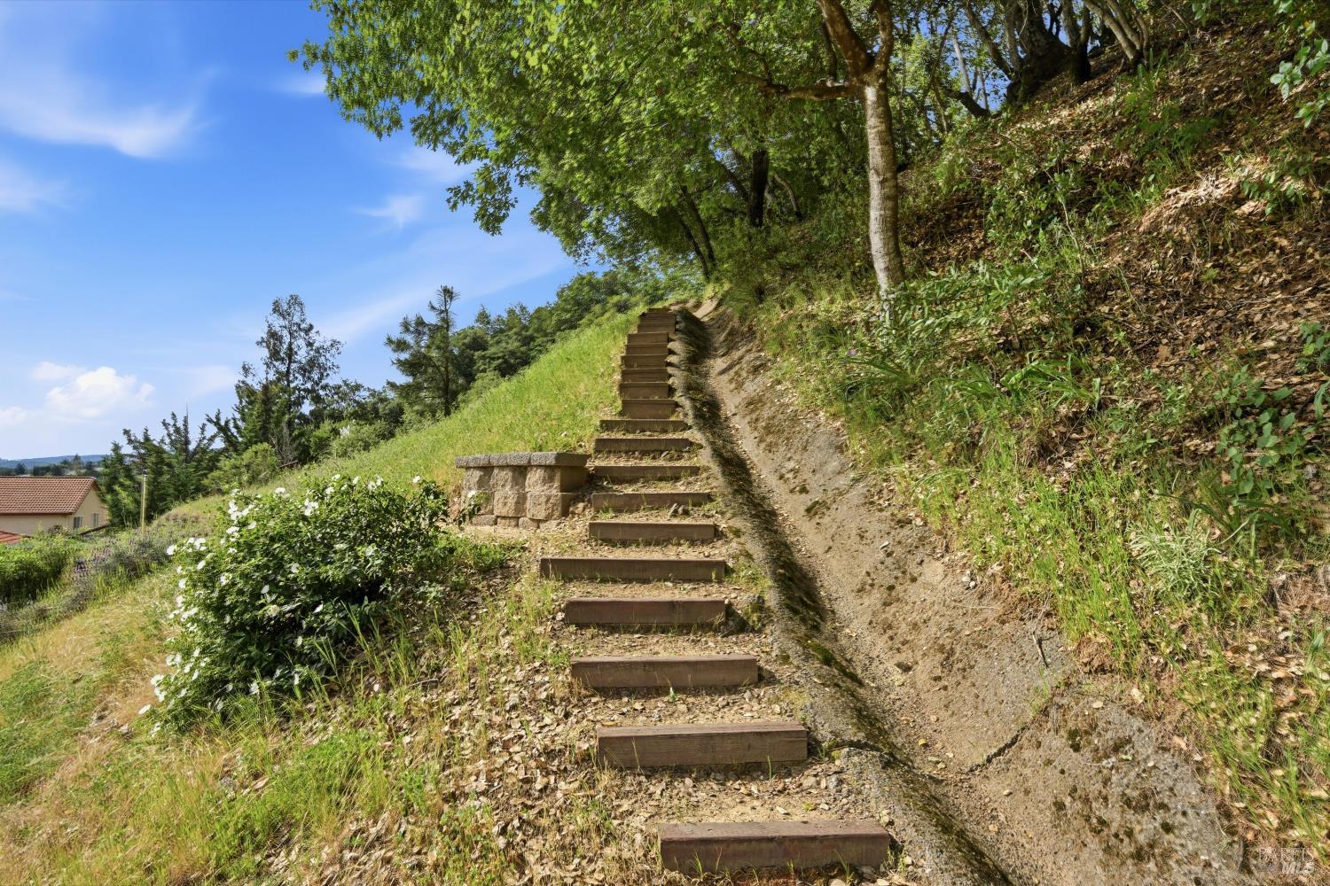 Property photo 44