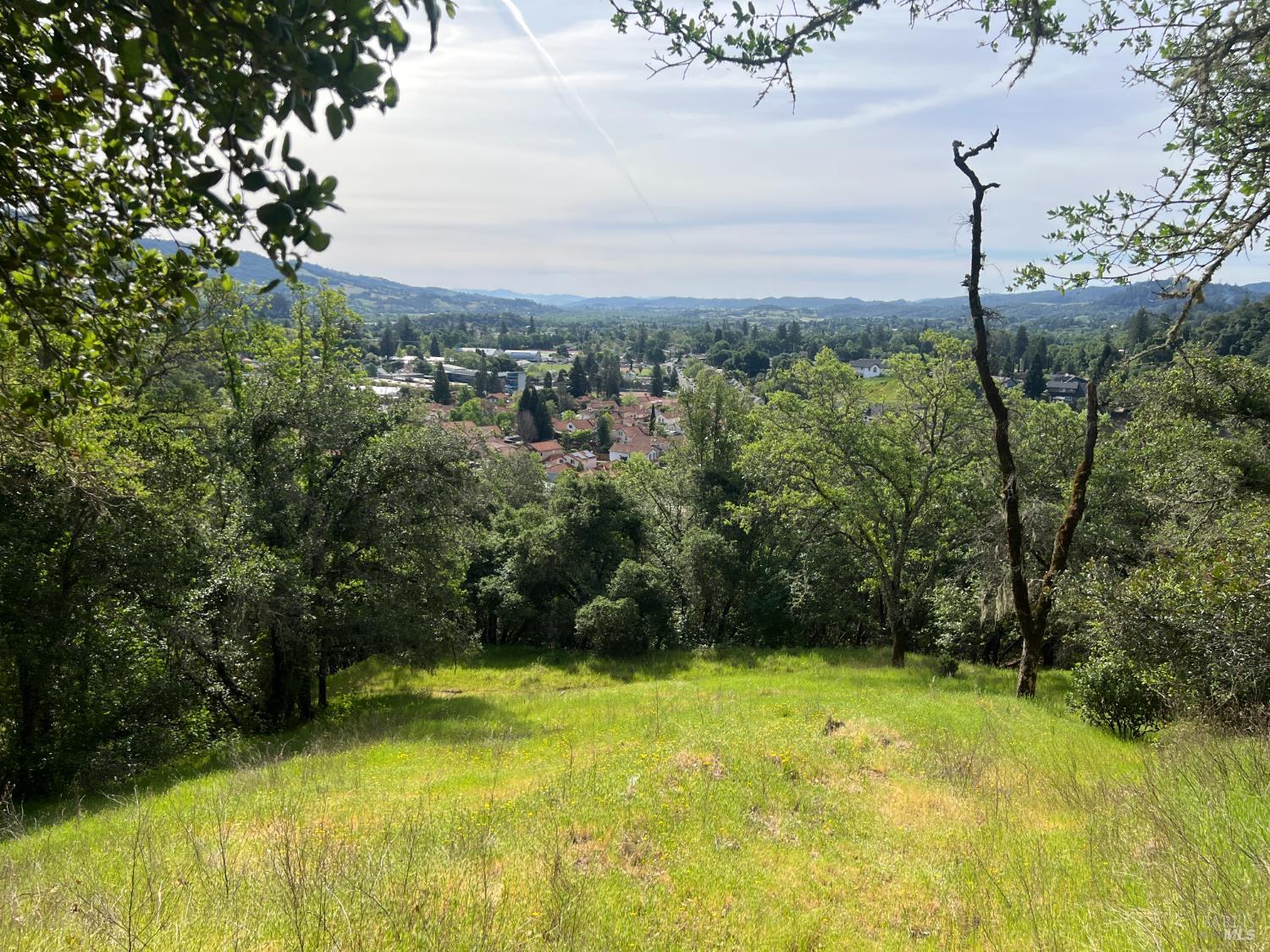 Property photo 49