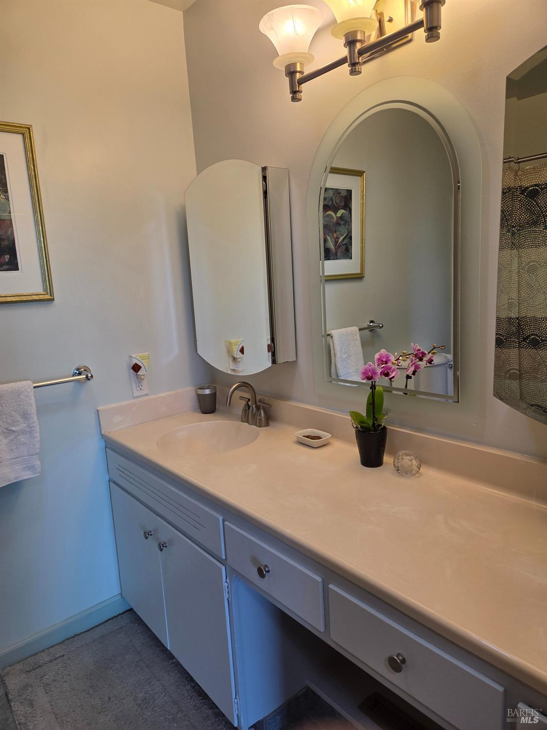 Property photo 51