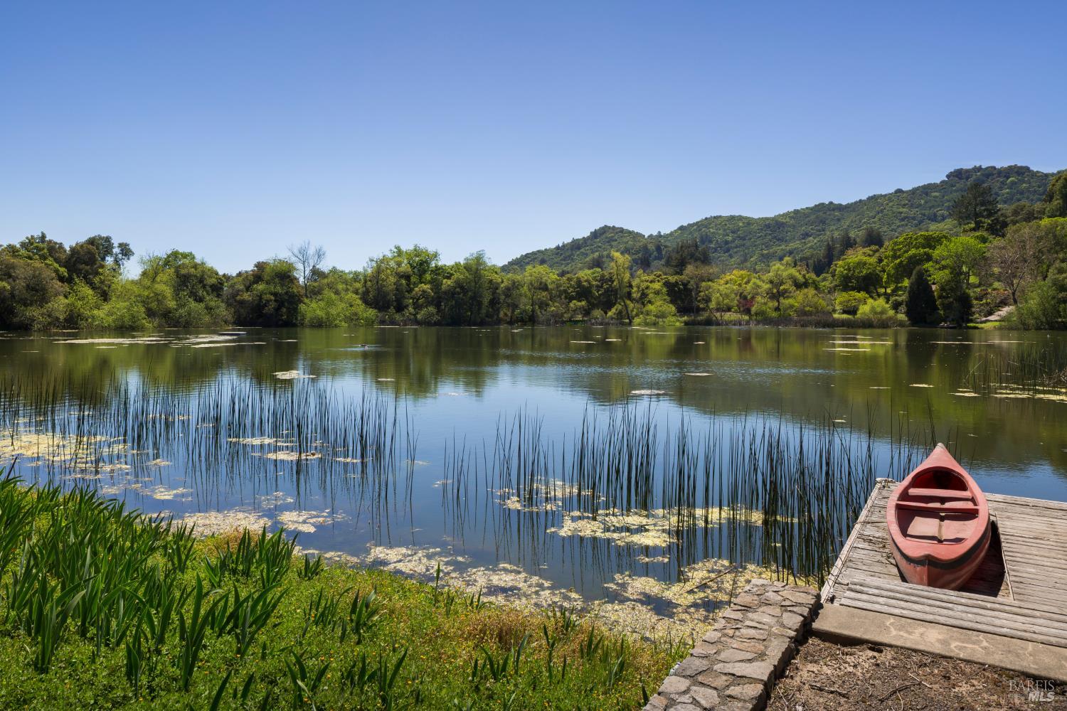 Property photo 45