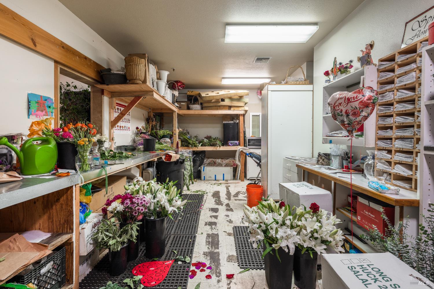 Property photo 34