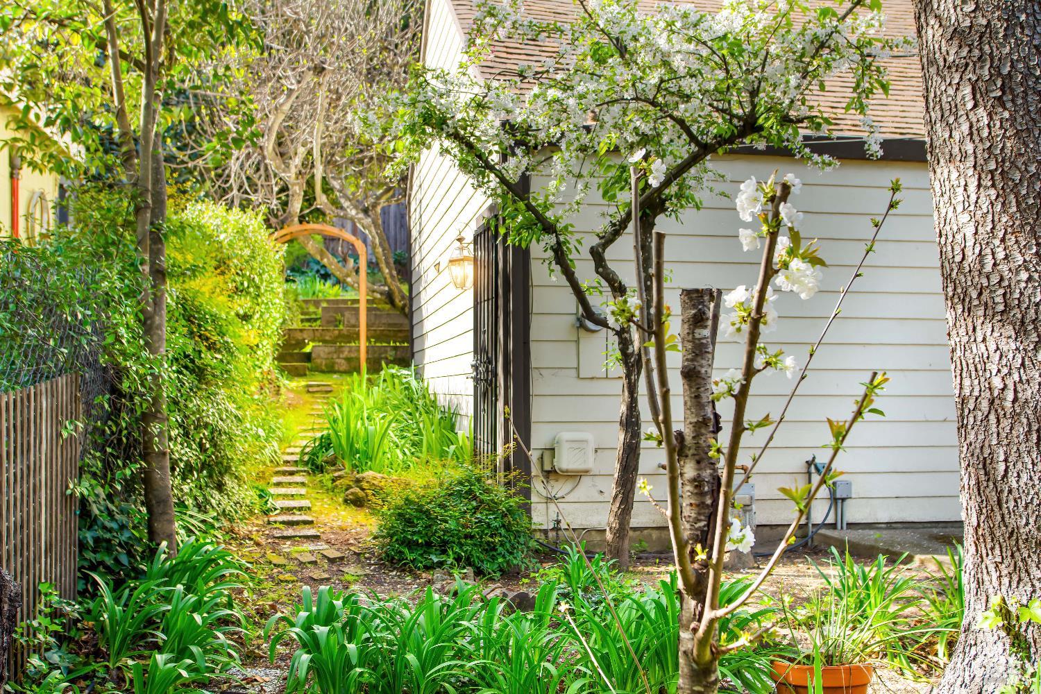Property photo 40