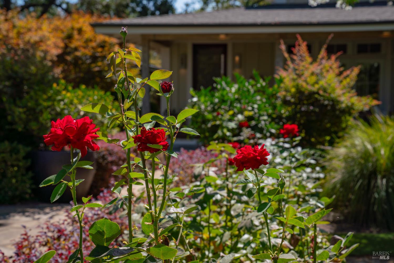 Property photo 51