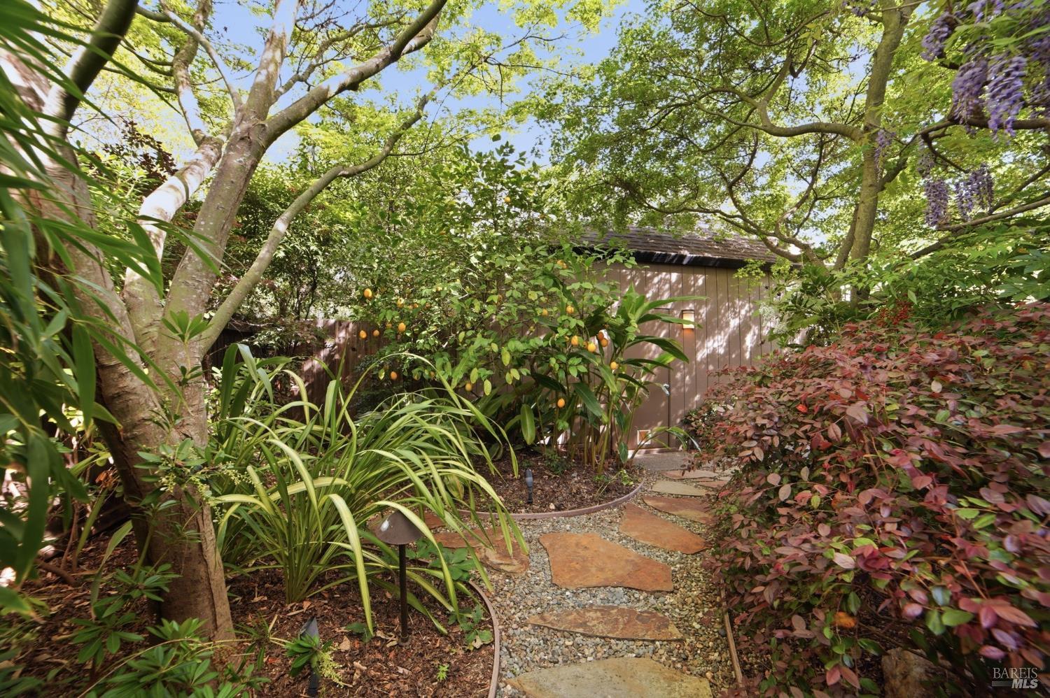 Property photo 44