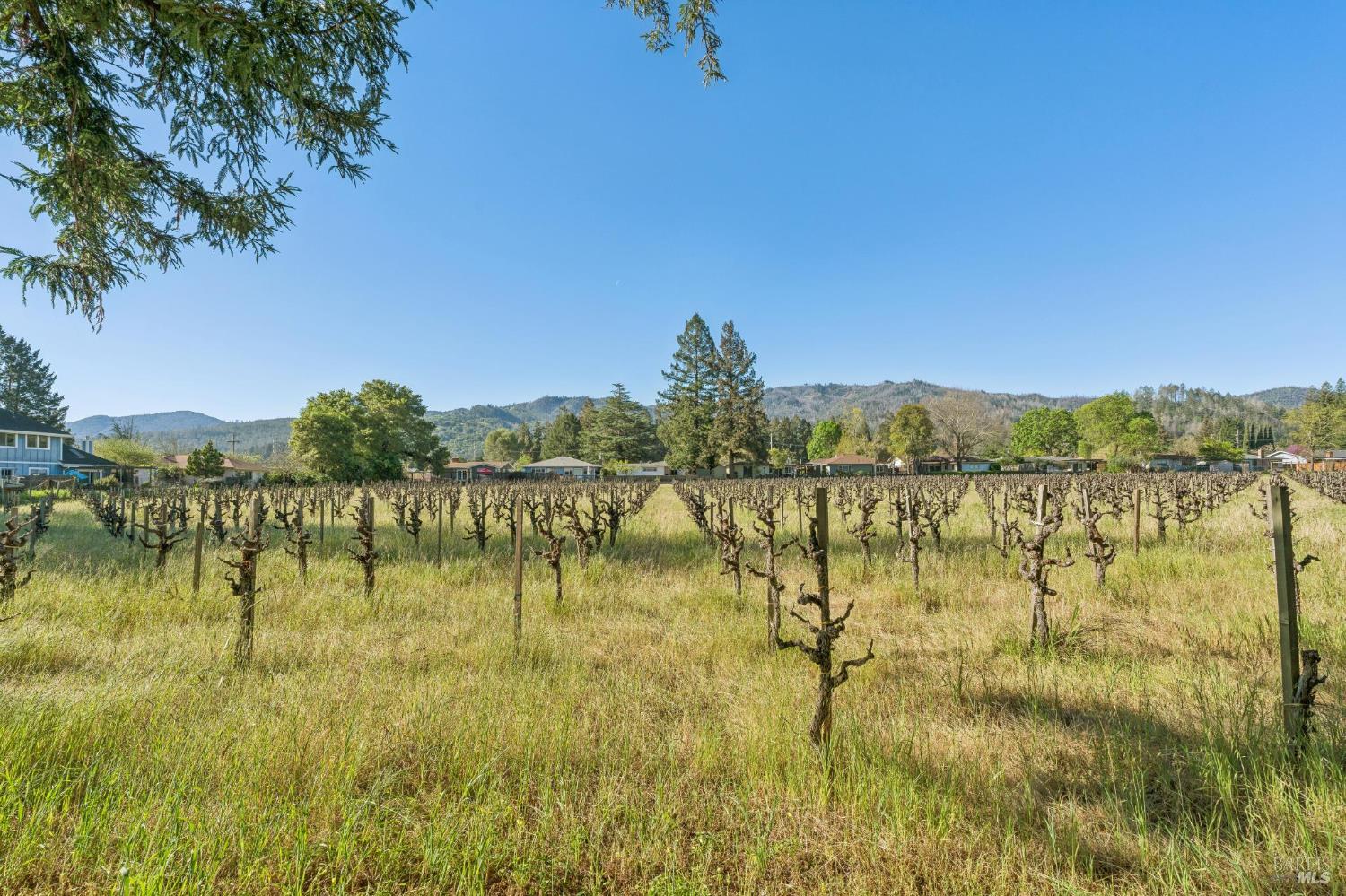 Property photo 34