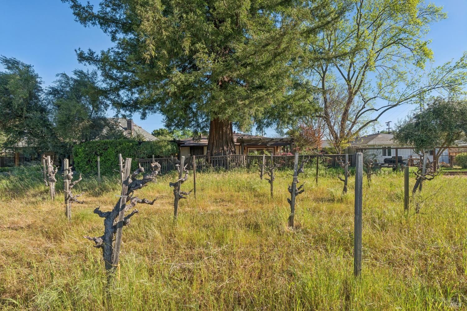 Property photo 35