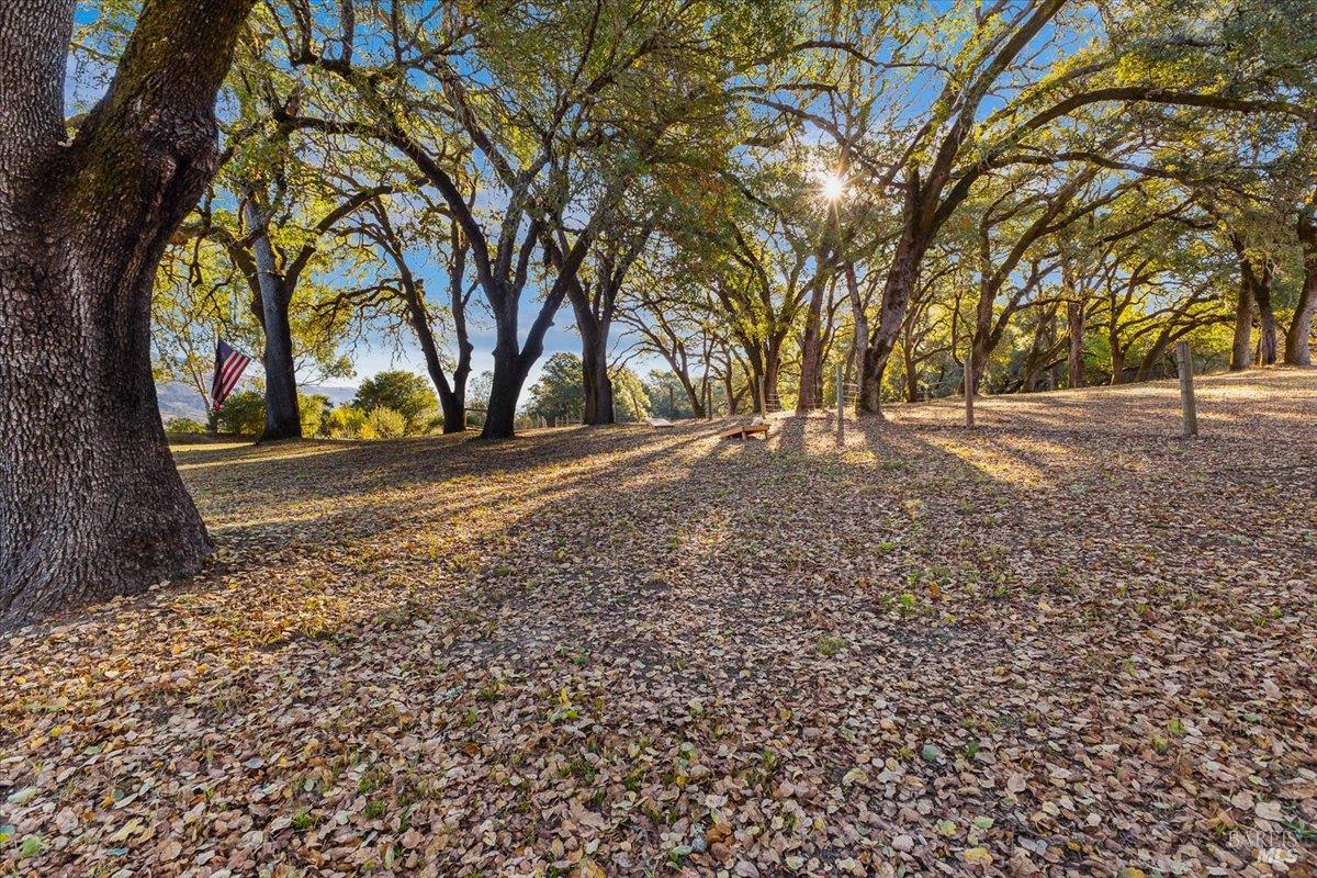 Property photo 37