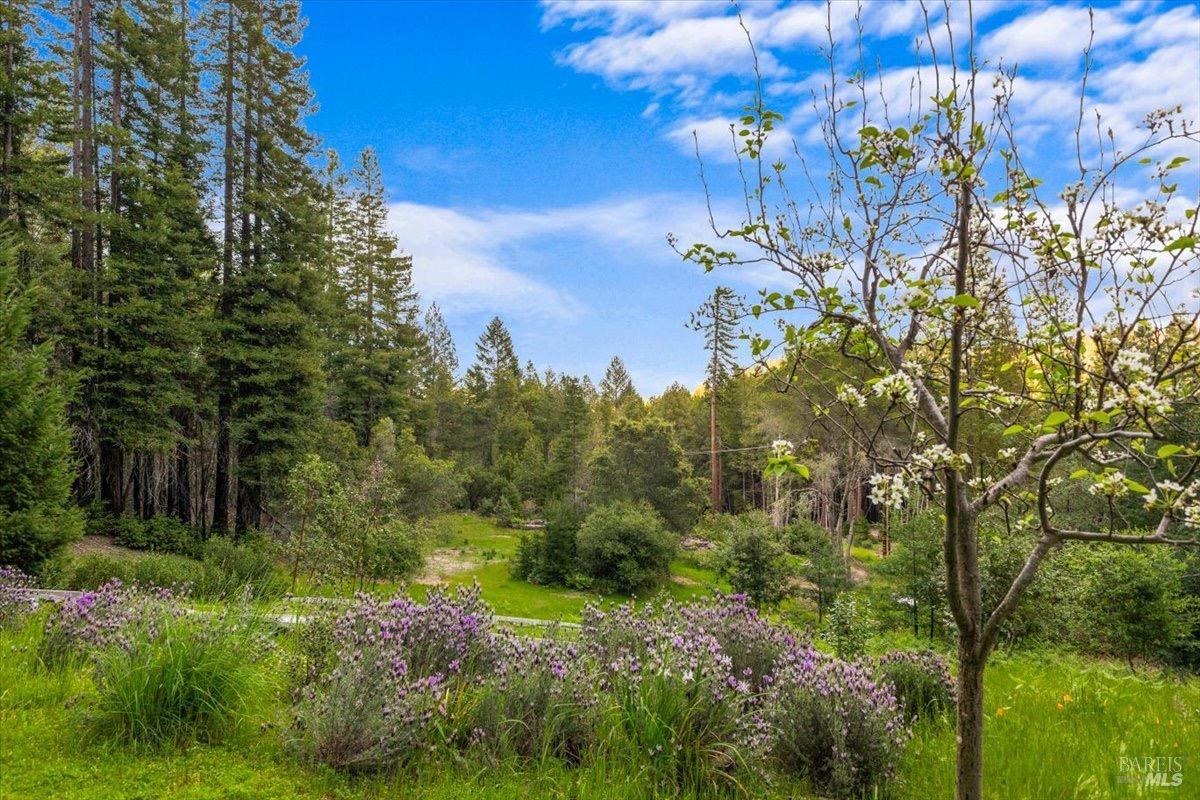 Property photo 47
