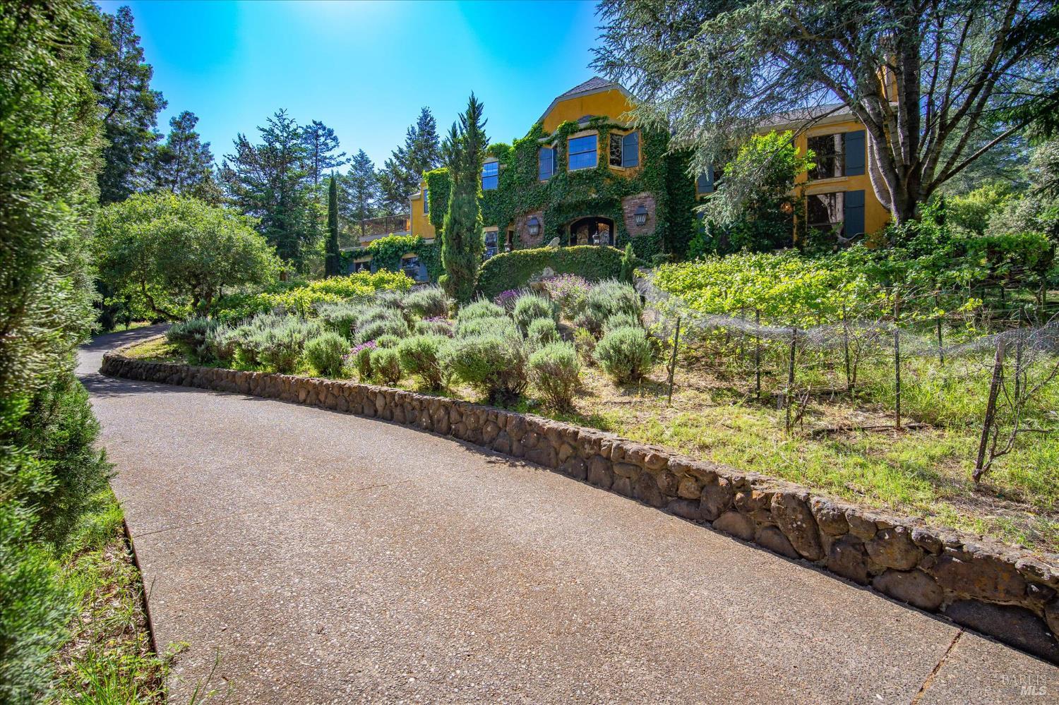 Property photo 41