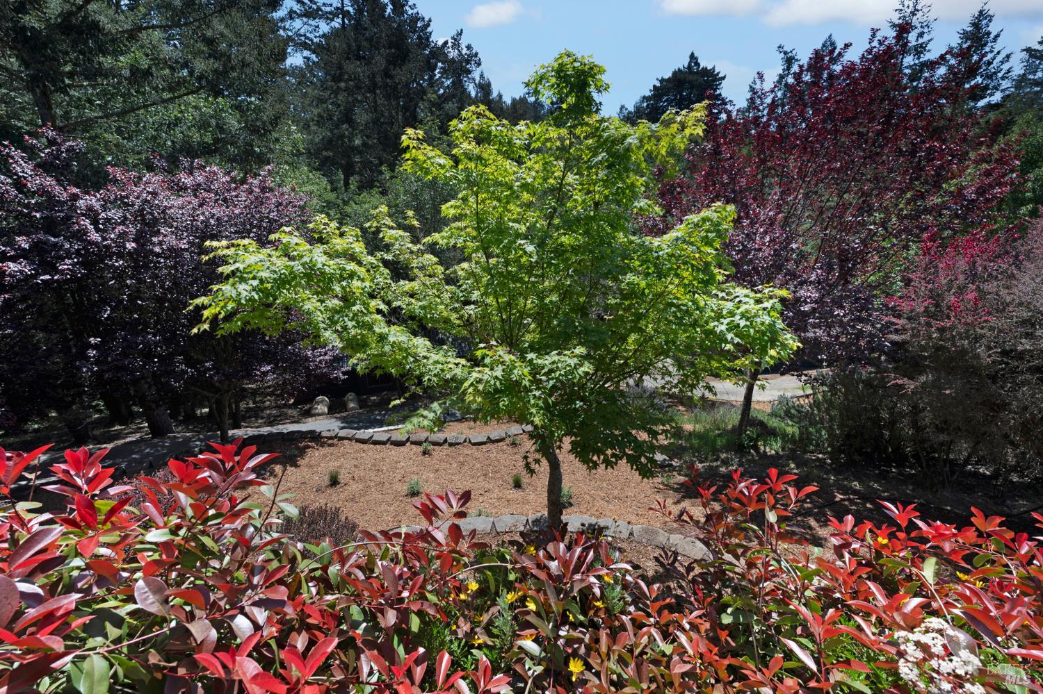 Property photo 49