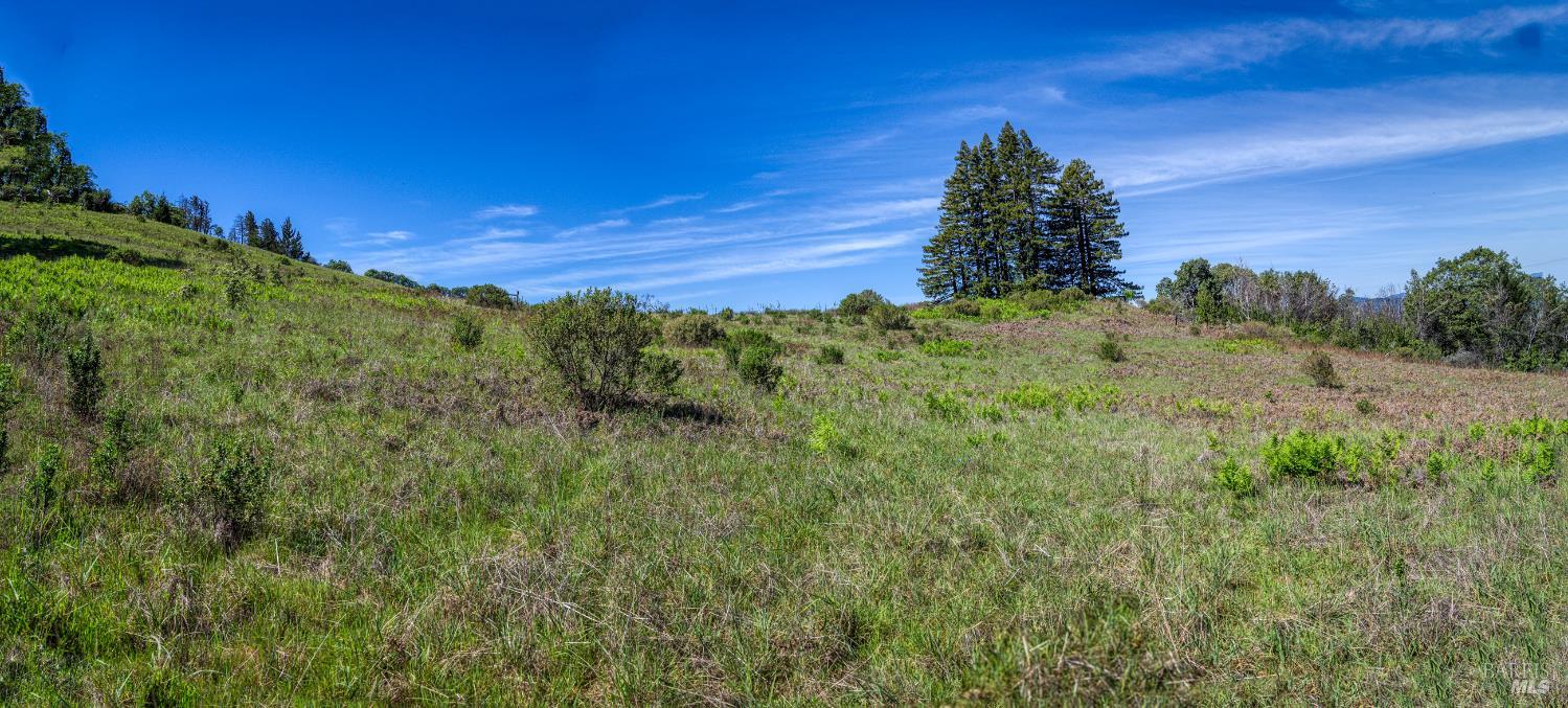 Property photo 51