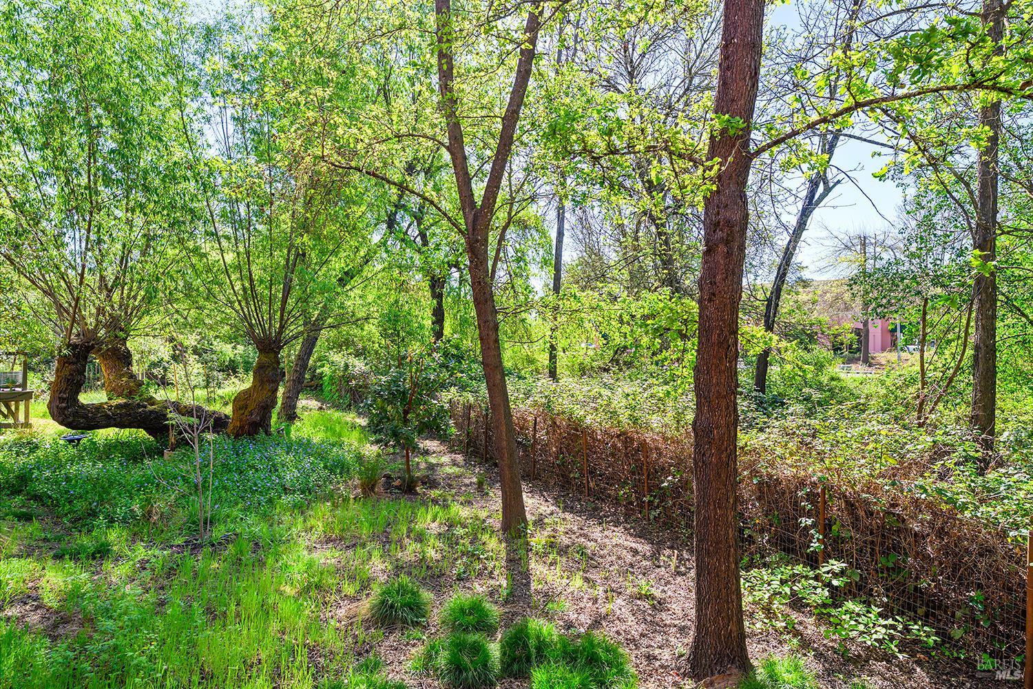 Property photo 30