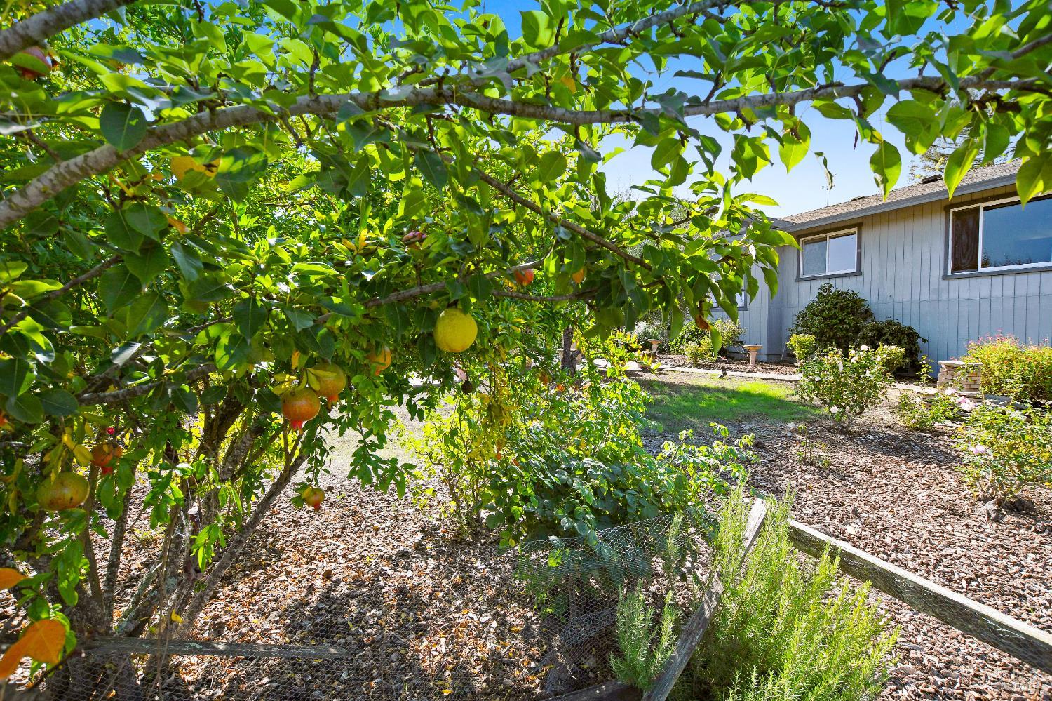 Property photo 51