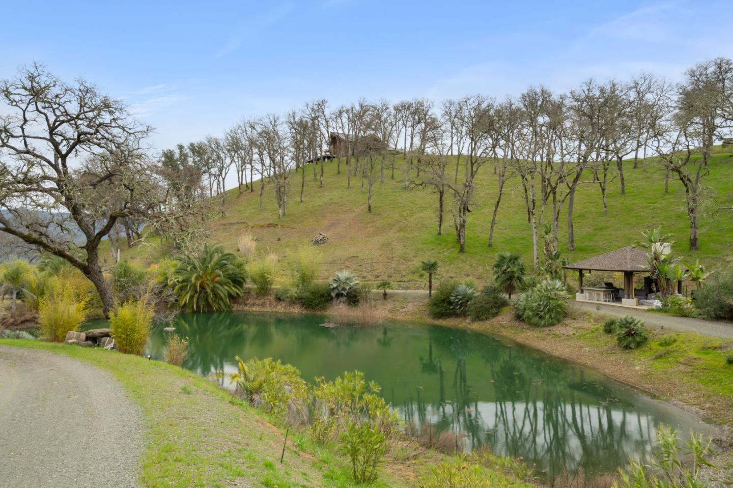 Property photo 39