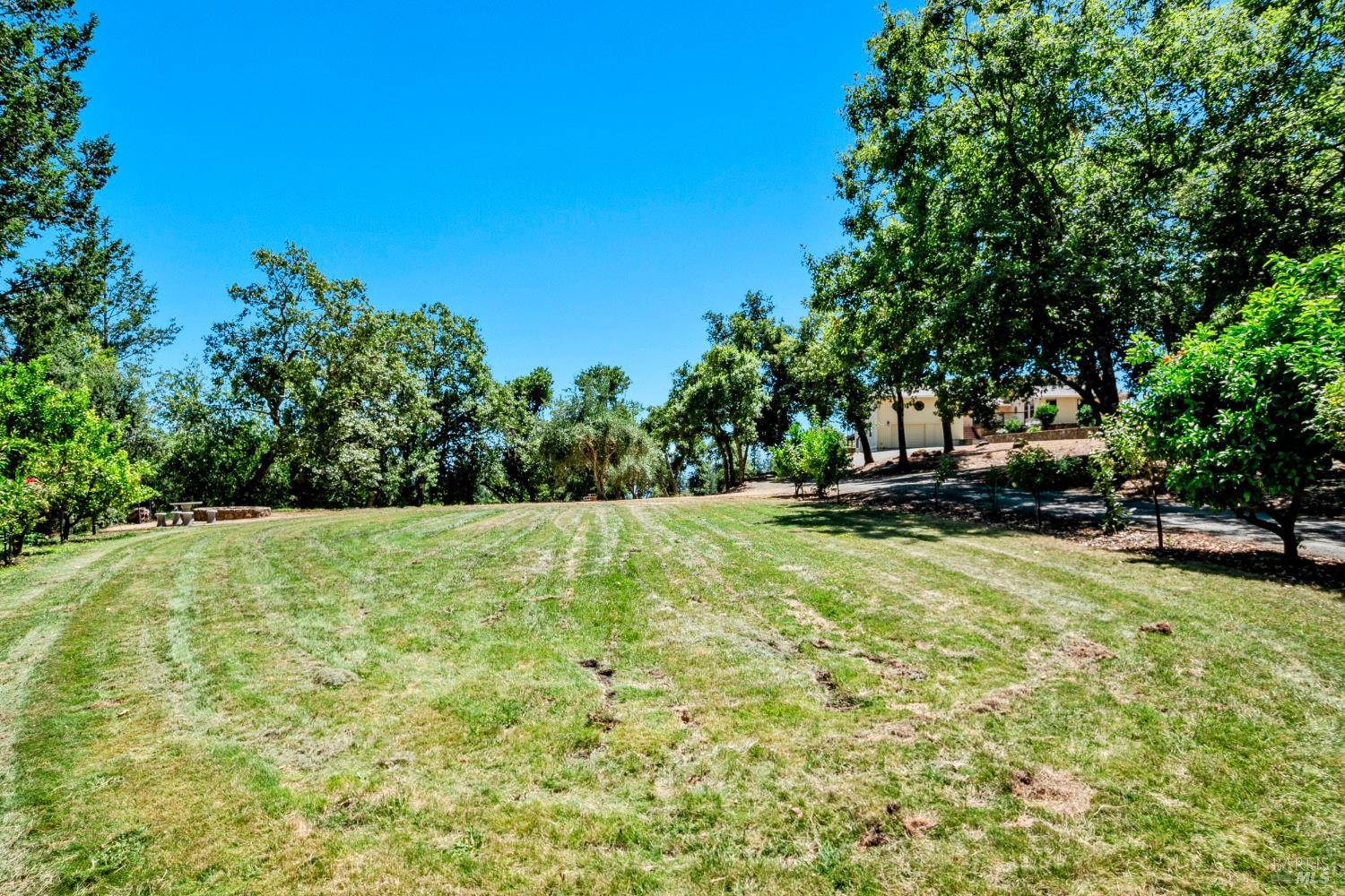 Property photo 51