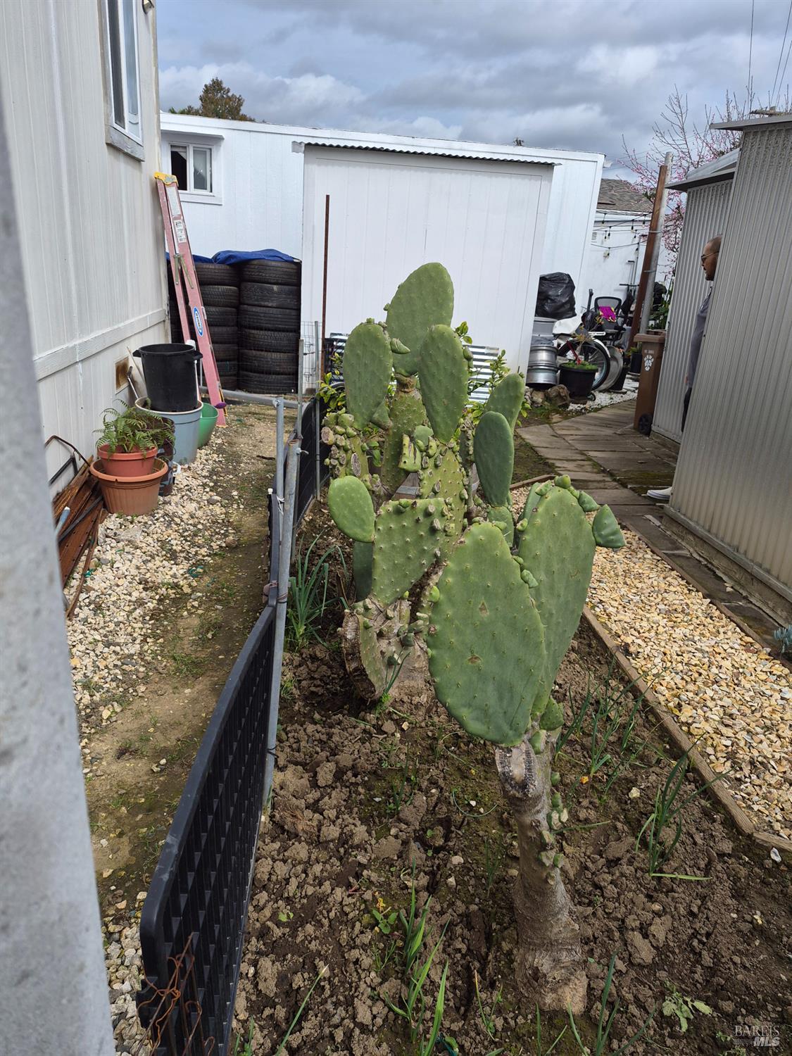 Property photo 20