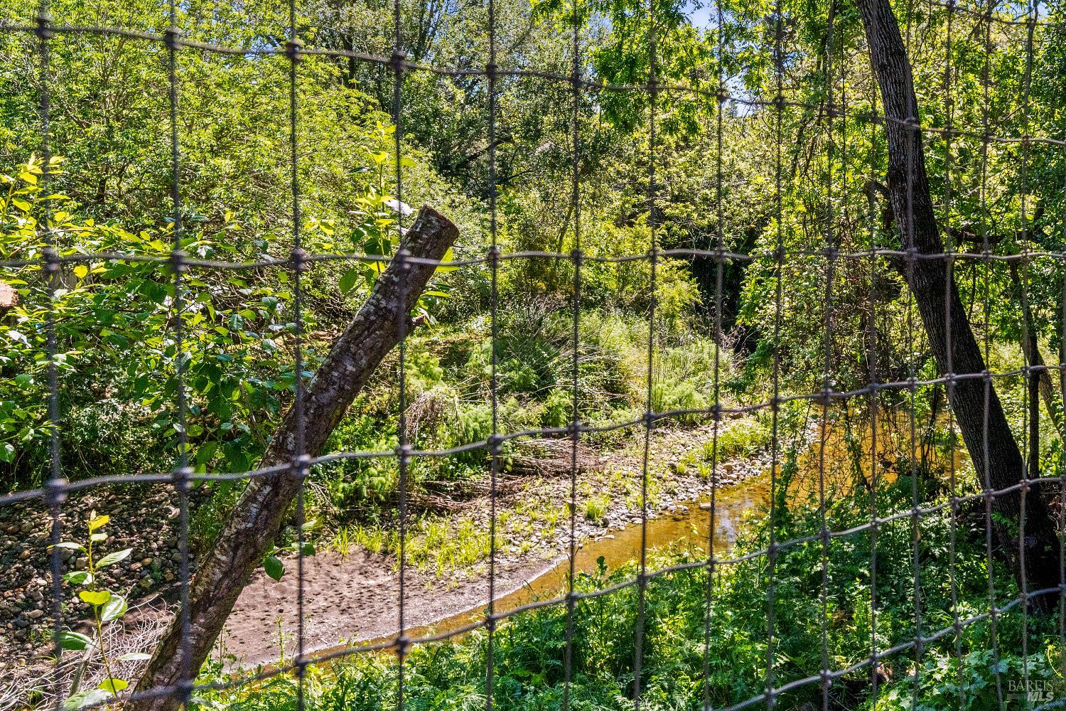 Property photo 44