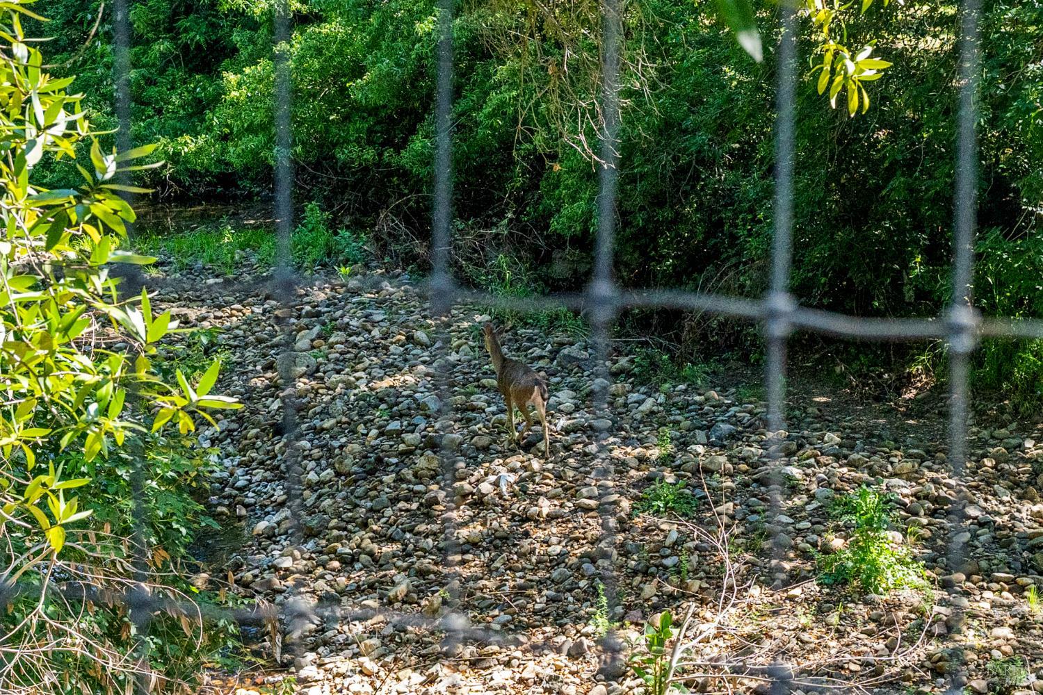 Property photo 45