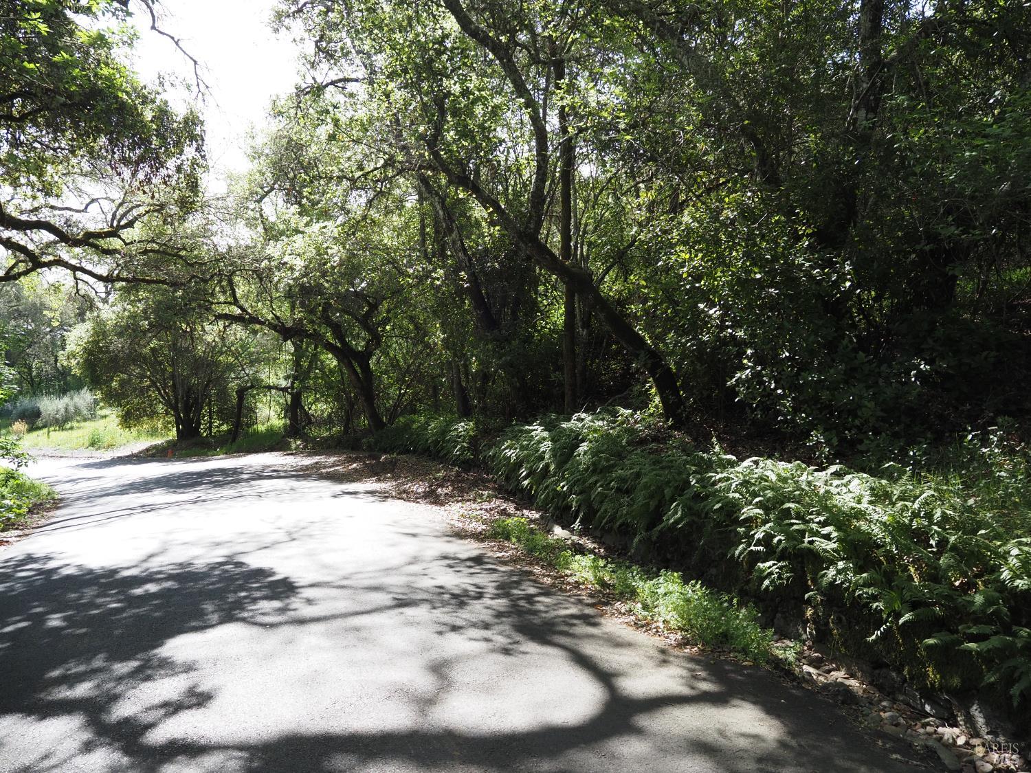 Property photo 21