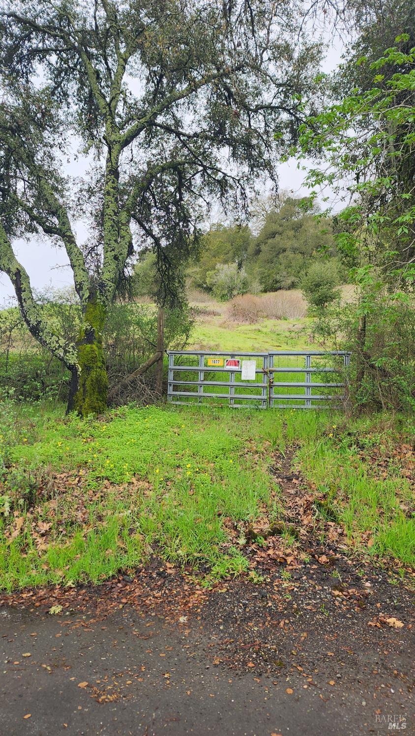 Property photo 22
