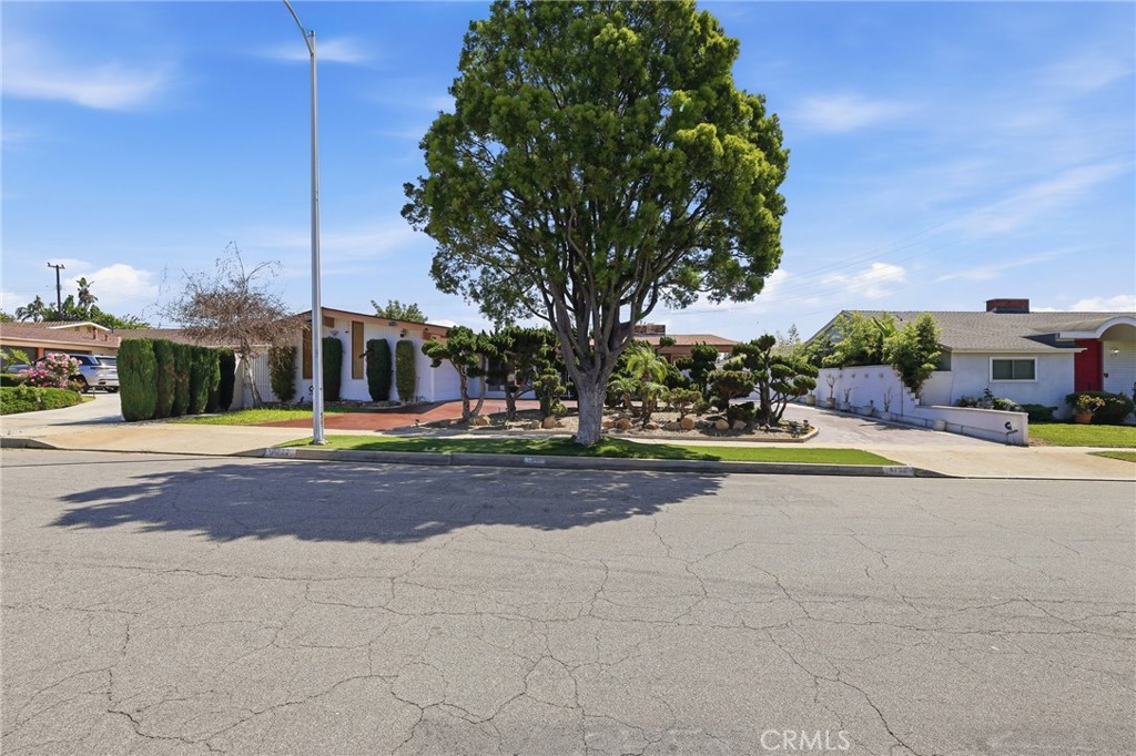 Property photo 46
