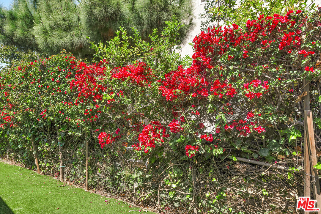 Property photo 51