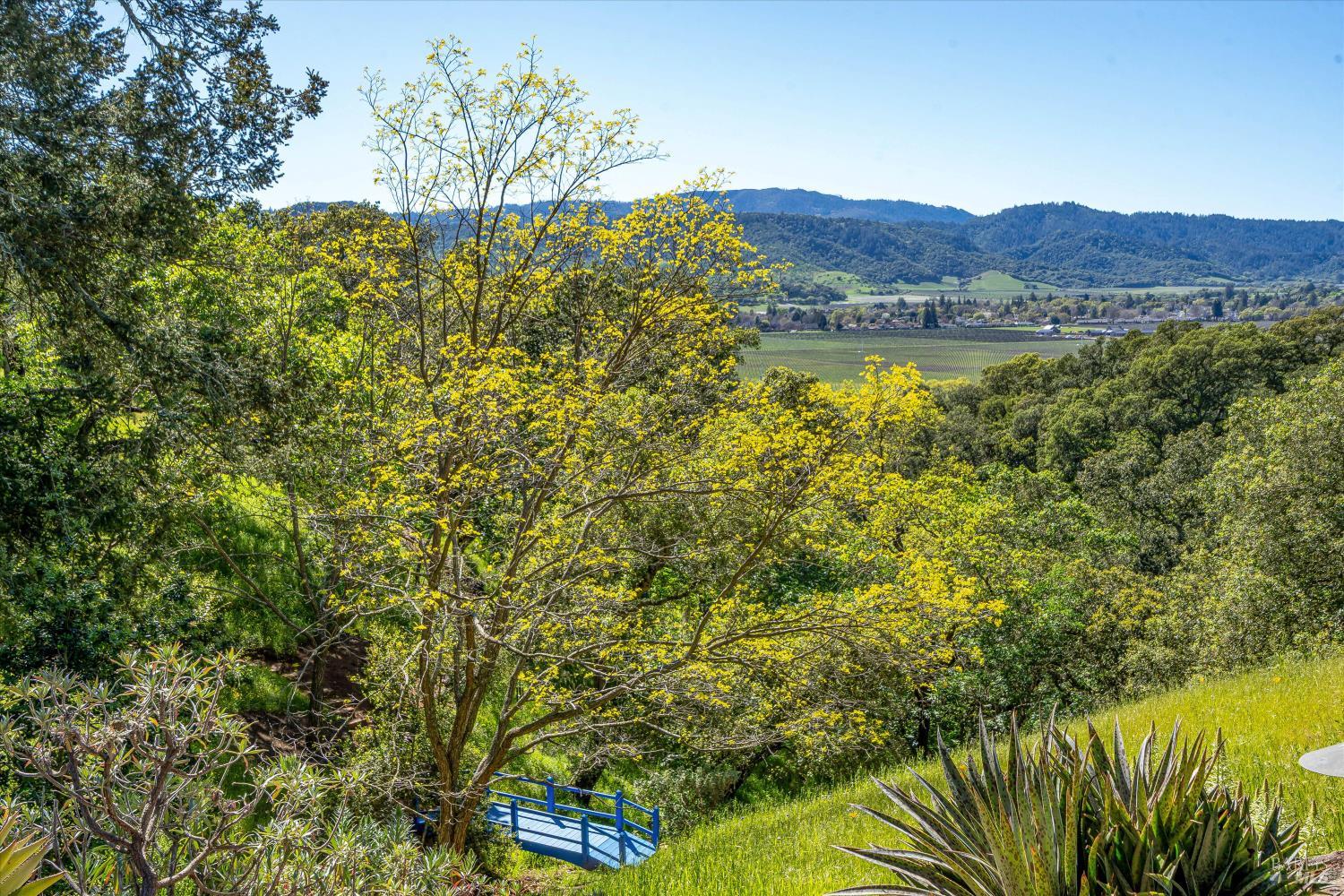 Property photo 40