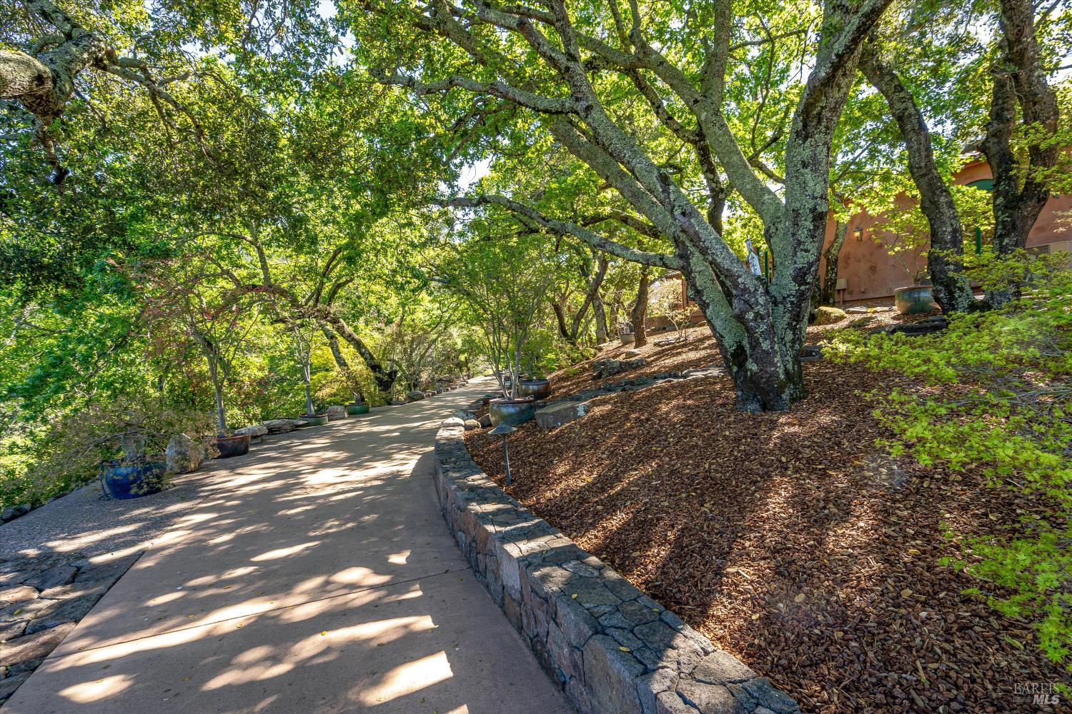 Property photo 45