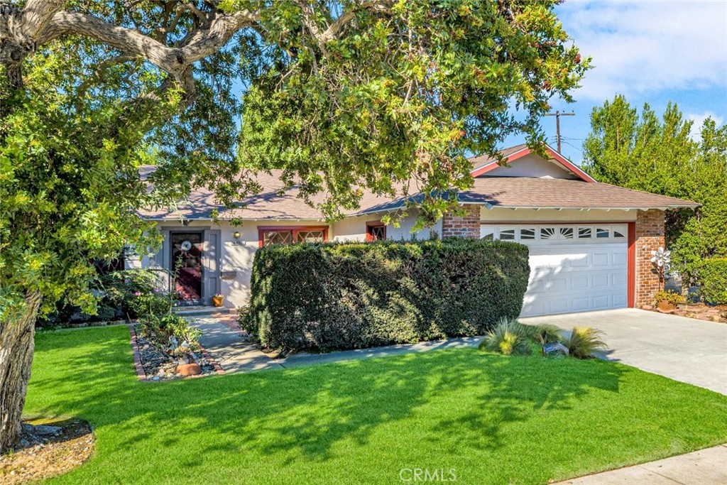 Property photo 45