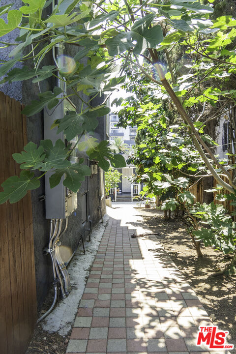 Property photo 44