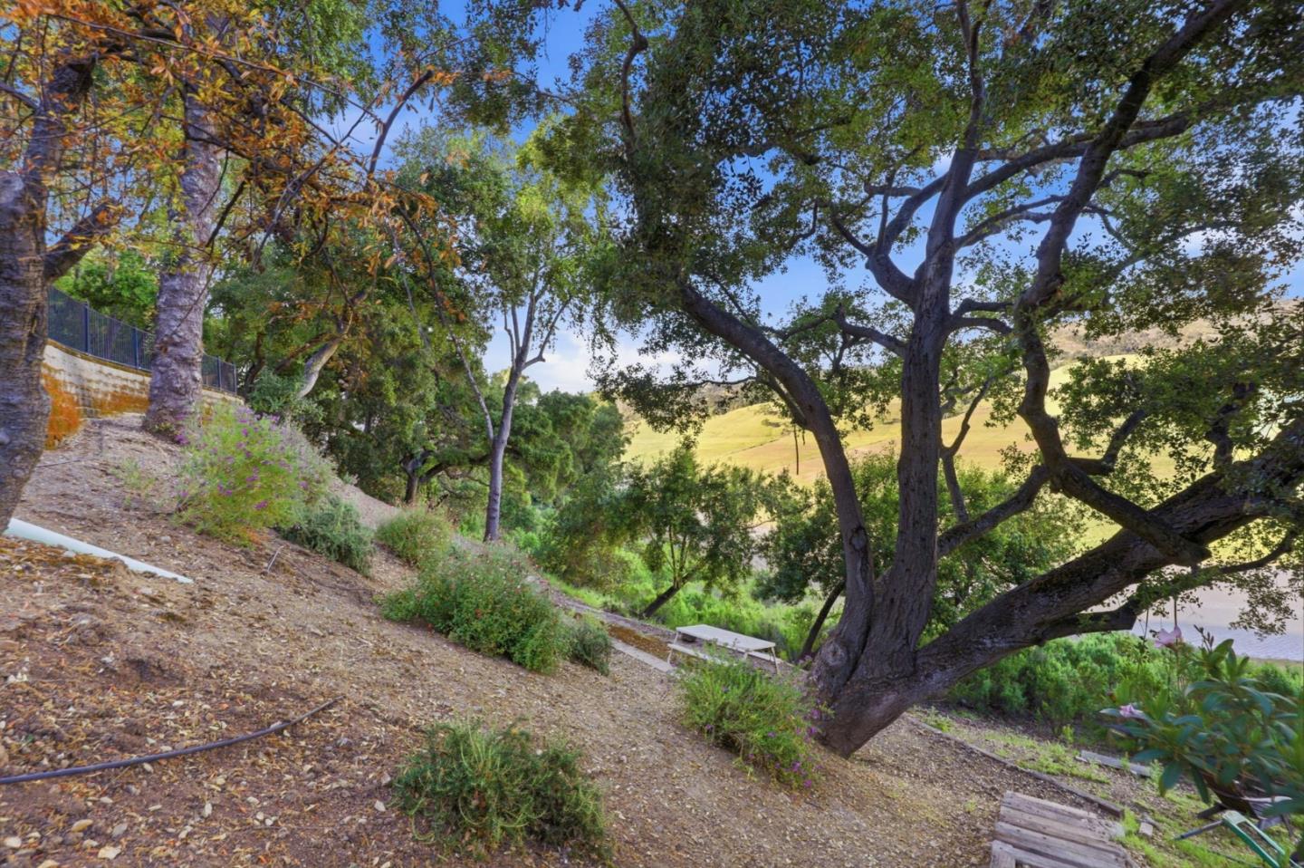 Property photo 49