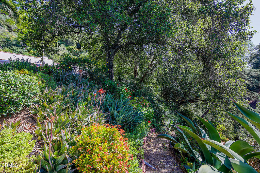 Property photo 40