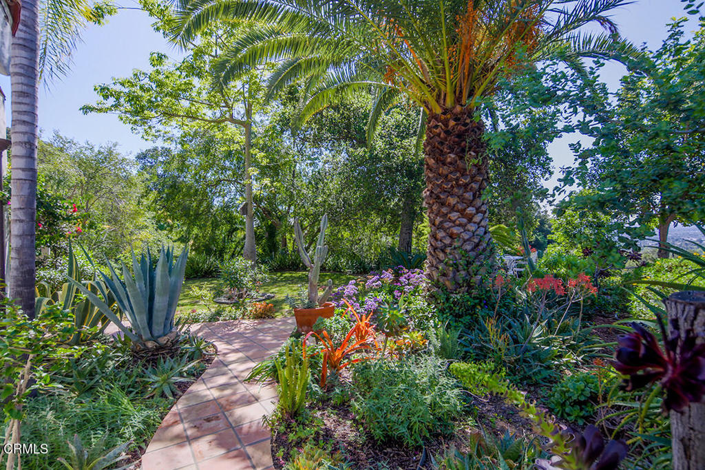 Property photo 46