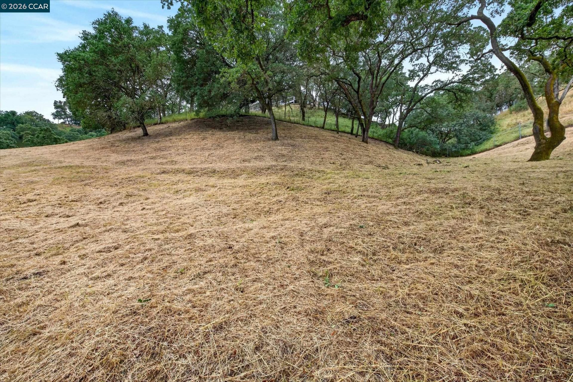 Property photo 50