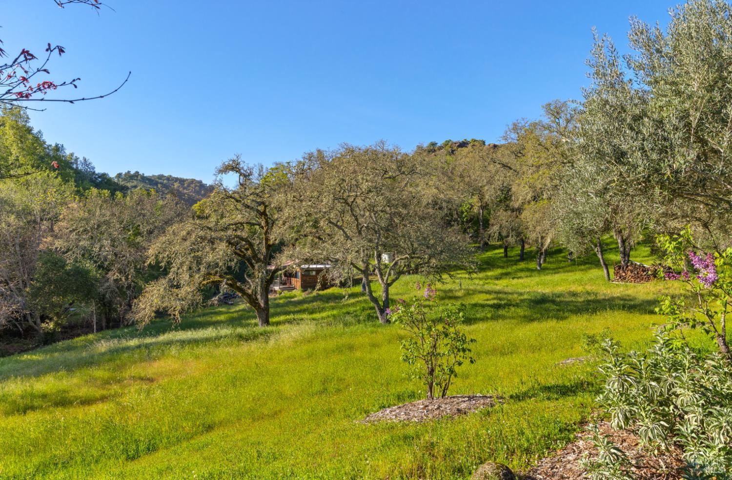 Property photo 42