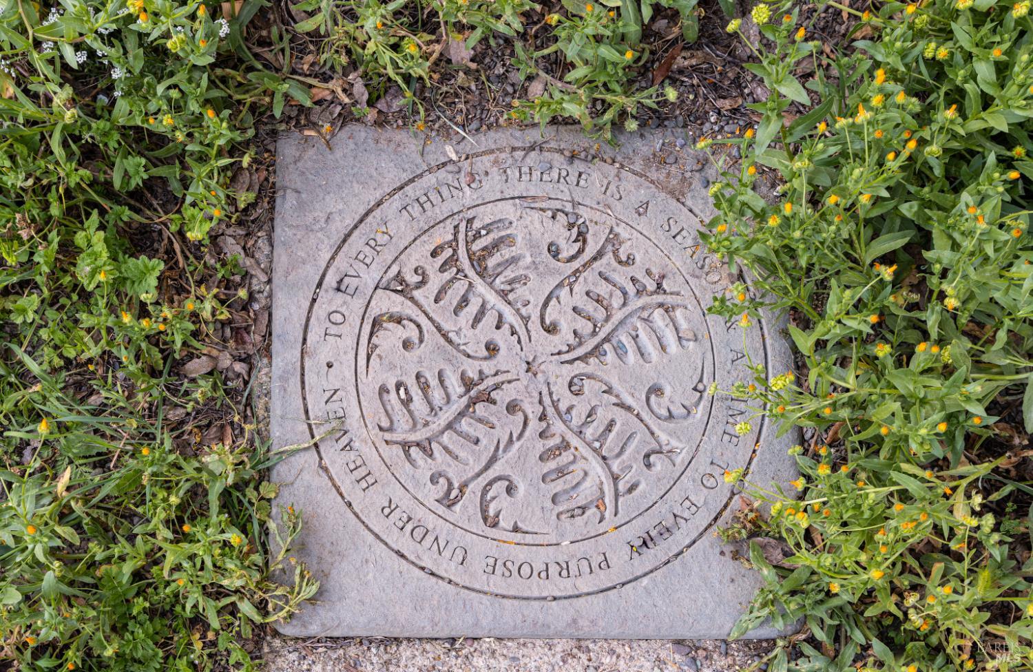 Property photo 47
