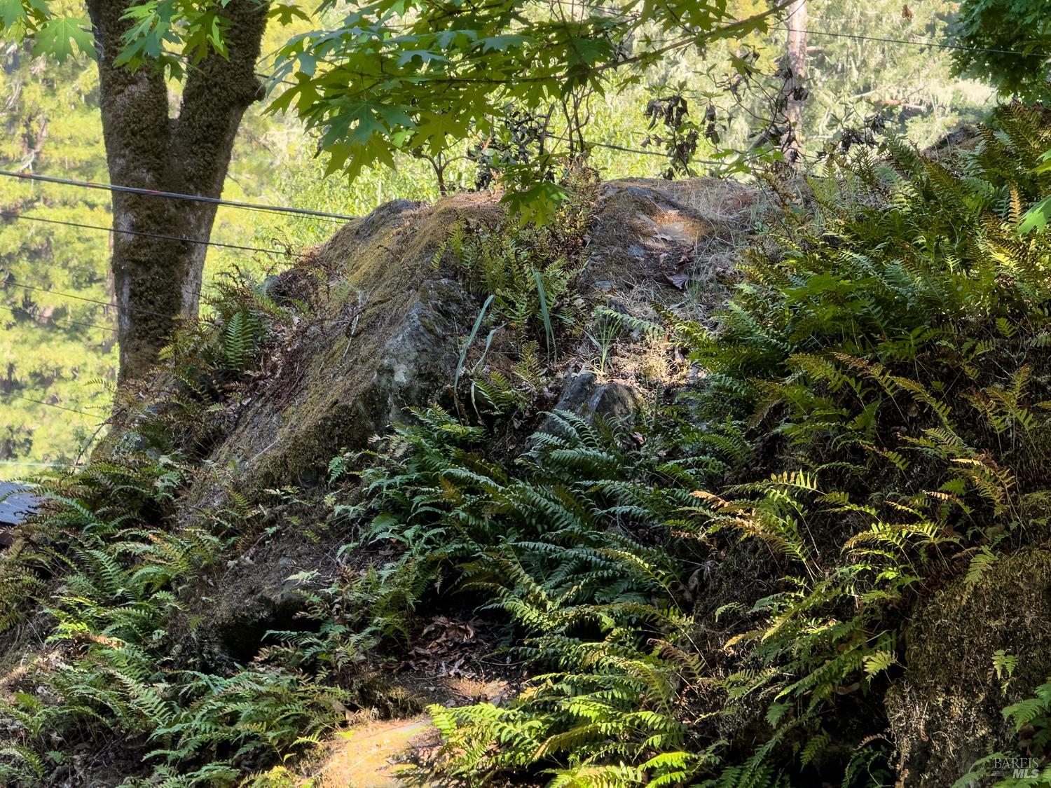 Property photo 30