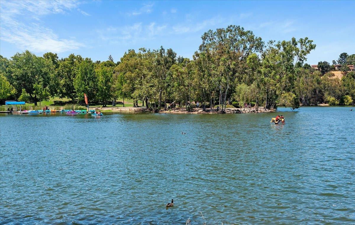 Property photo 45