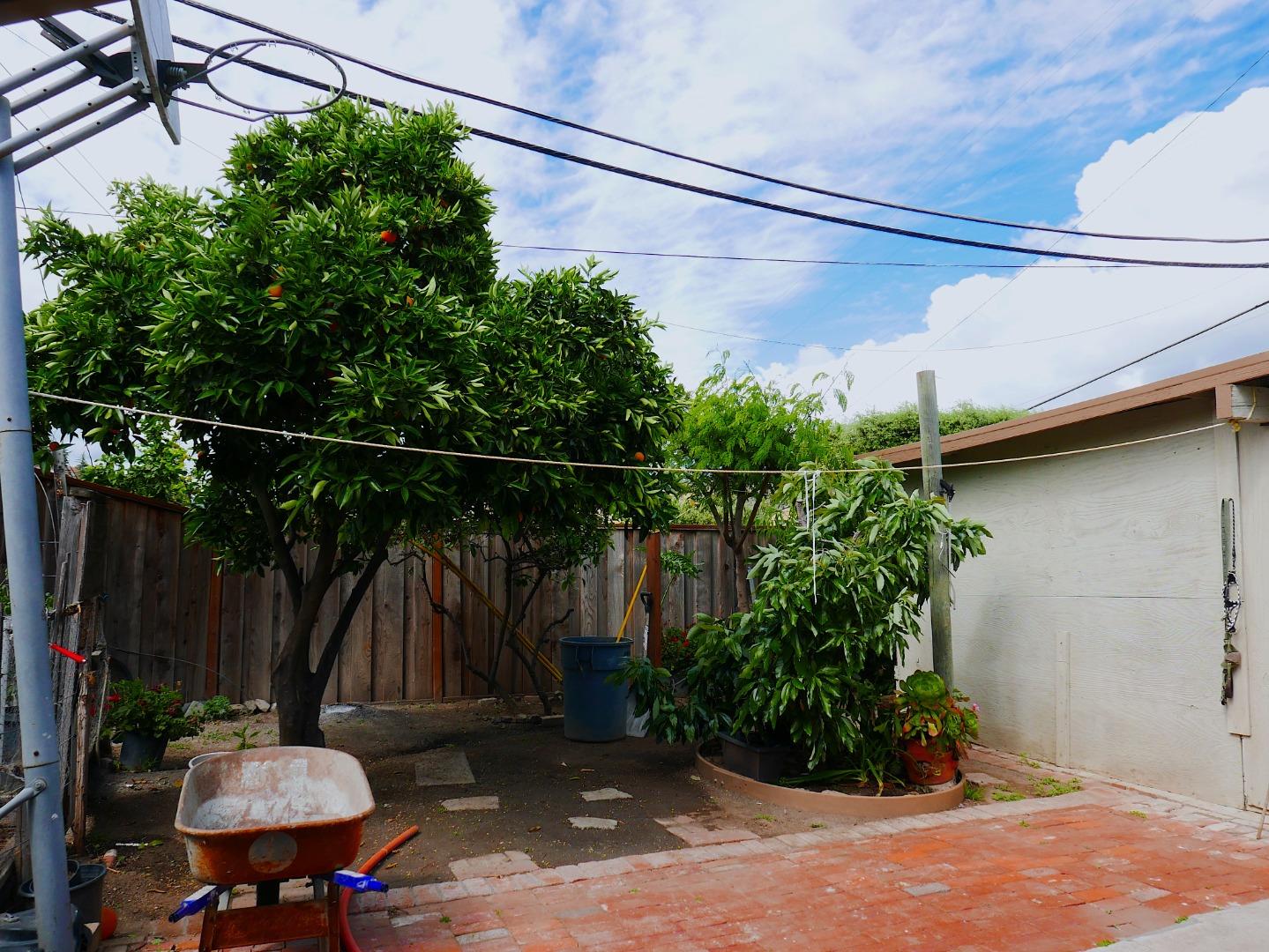 Property photo 45