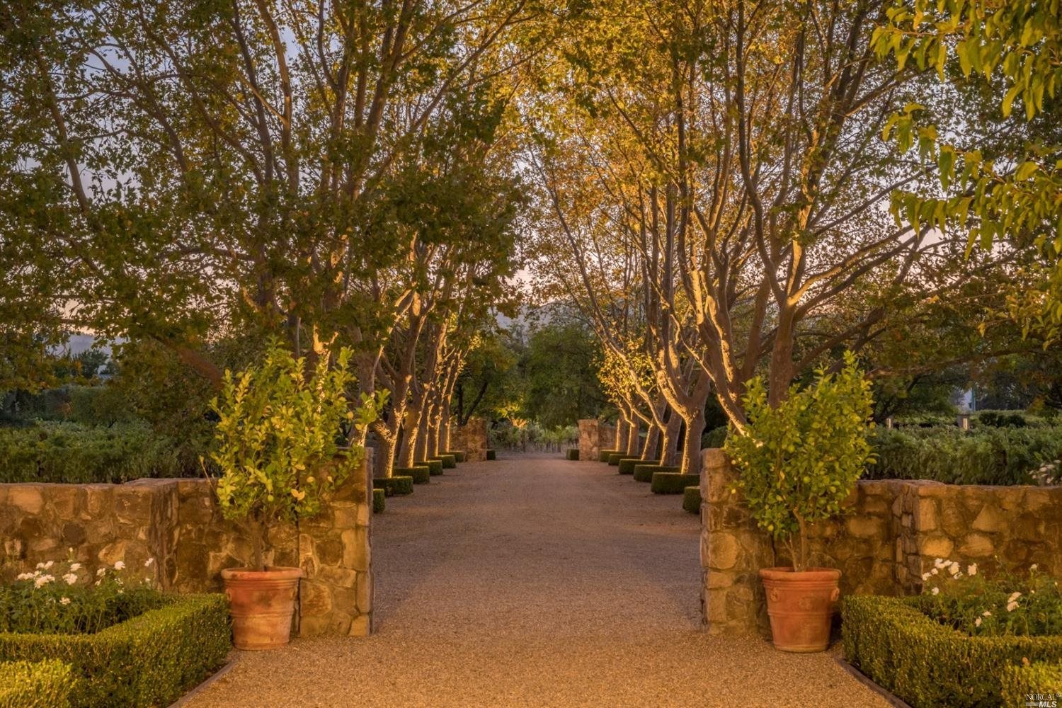 Property photo 46