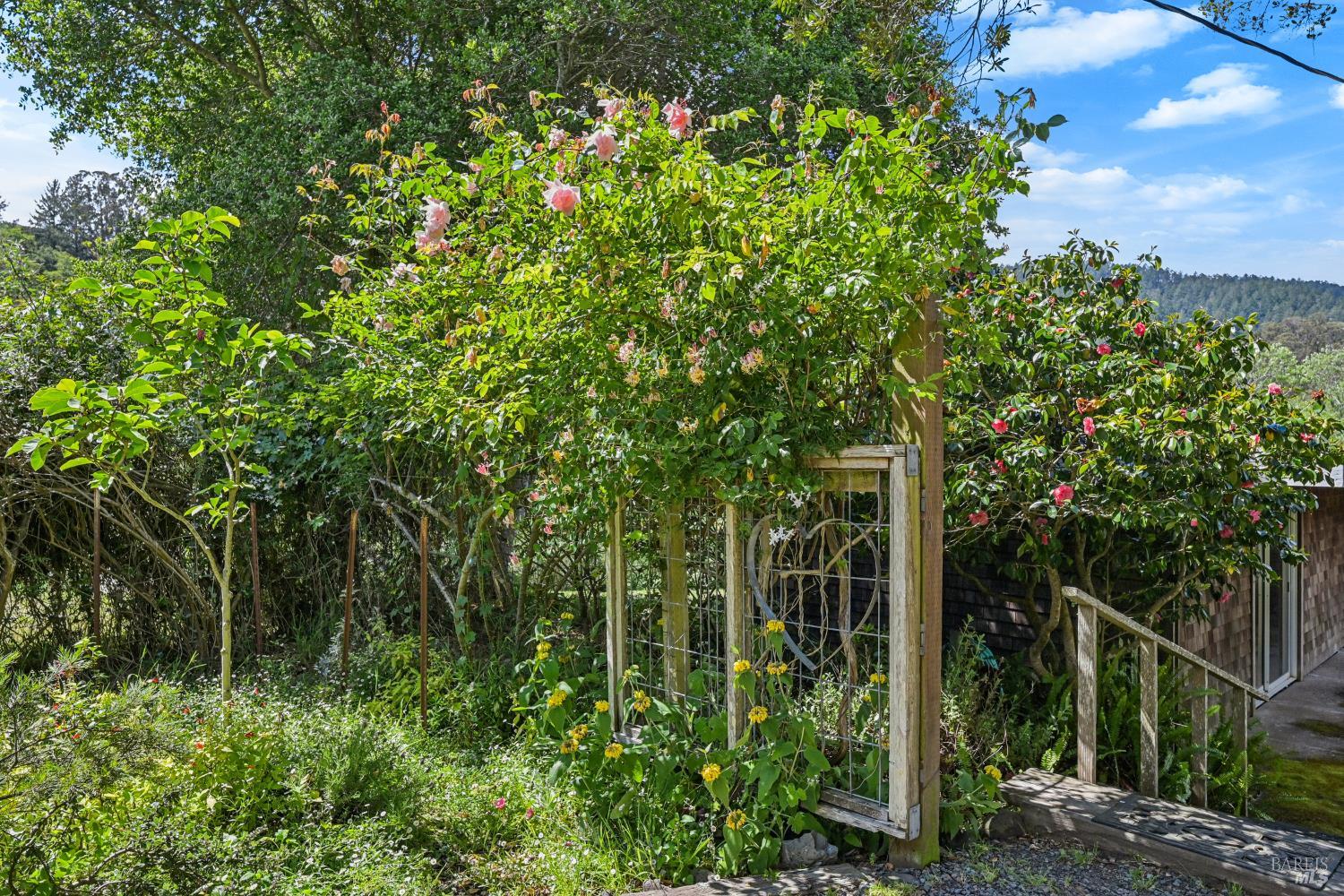 Property photo 23
