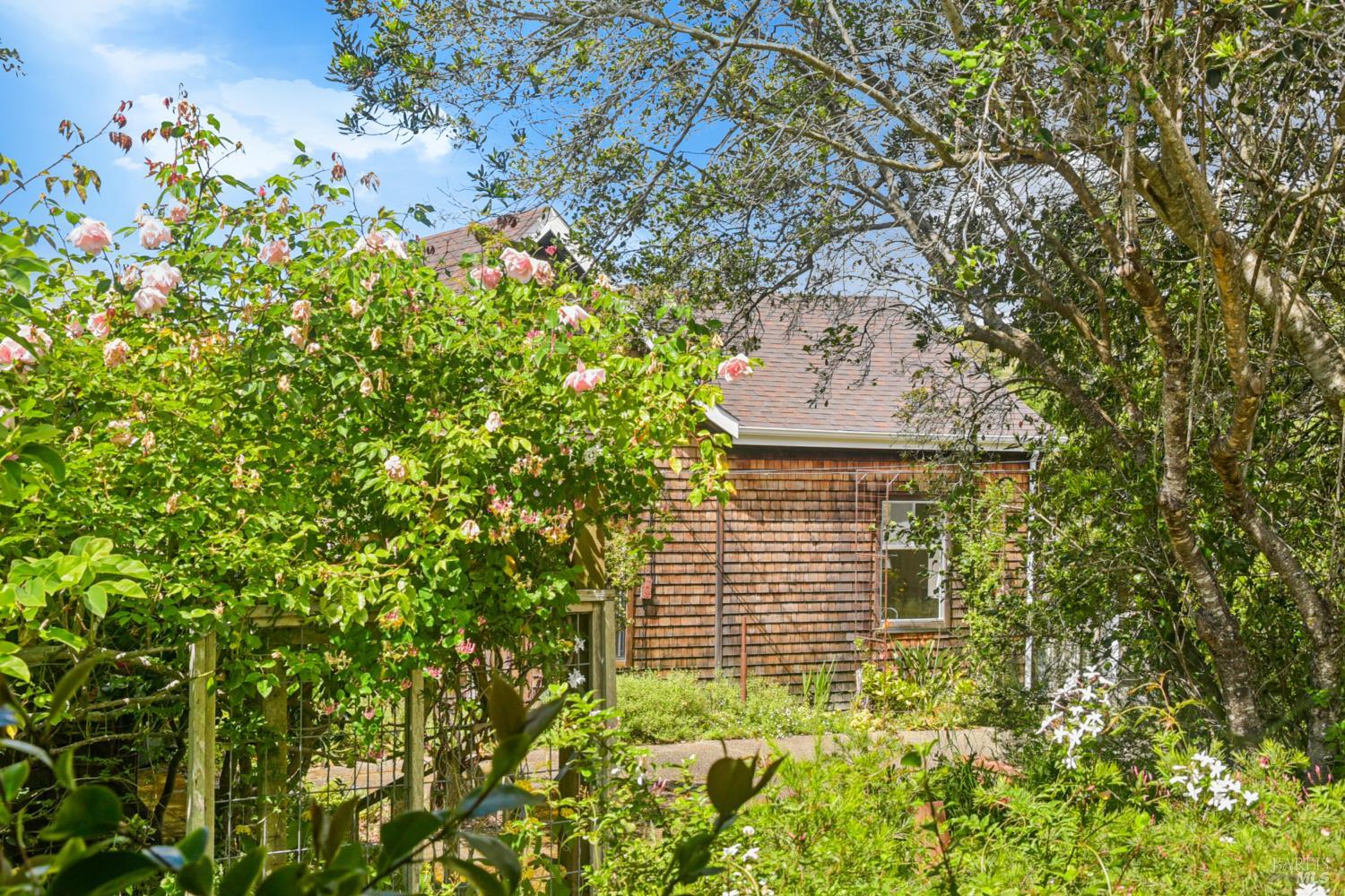 Property photo 24