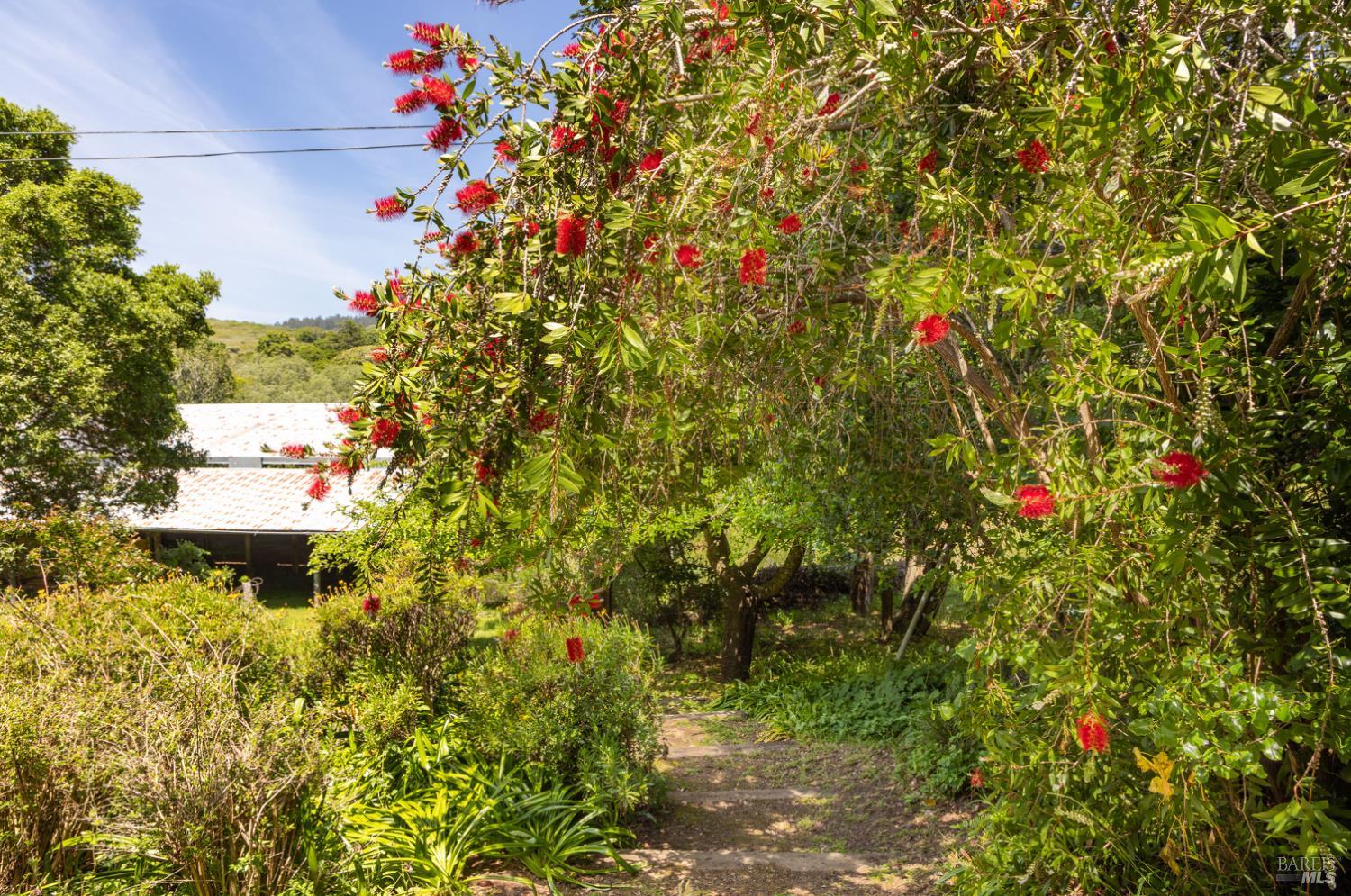 Property photo 25