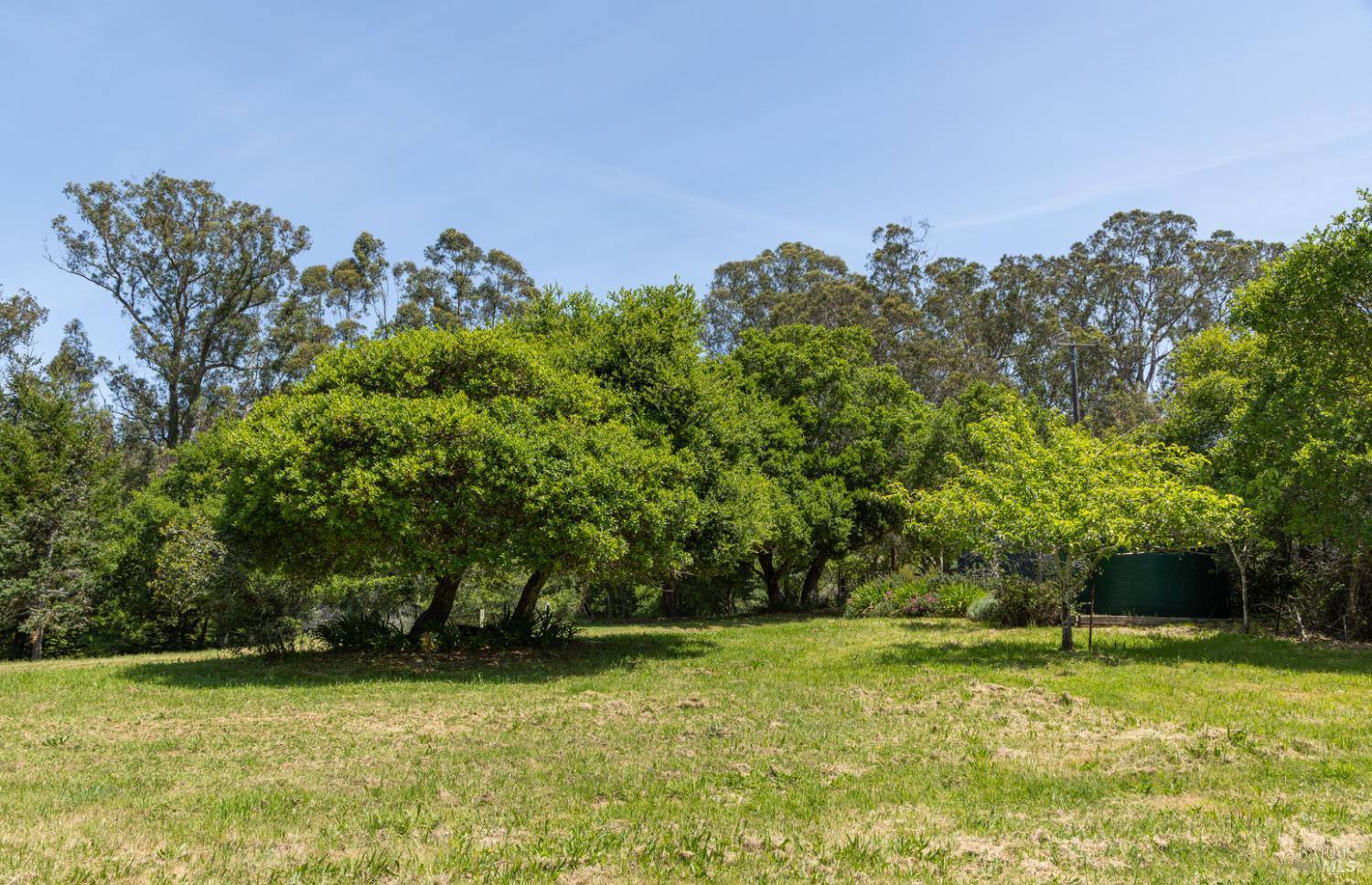 Property photo 42